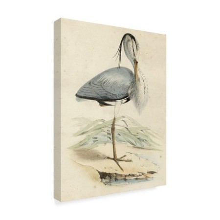 Trademark Fine Art Unknown 'Antique Heron Iv' Canvas Art, 18x24 WAG02491-C1824GG